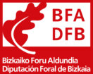 Bizkaiko Foru Aldundia